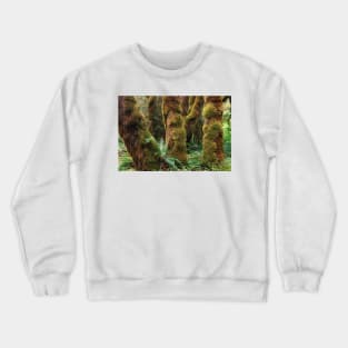 Mossy Big Leaf Maples Hoh Rainforest Olympic National Park Crewneck Sweatshirt